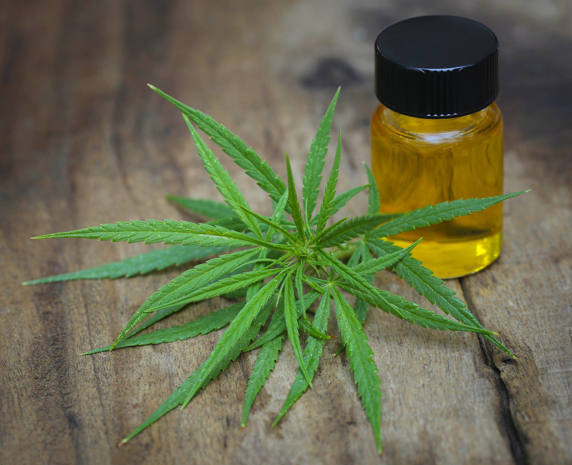 does cbd oil make you tired